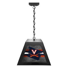 University of Virginia Pendant Box Light