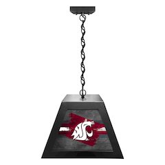 Washington State University Pendant Box Light