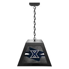 Xavier Pendant Box Light