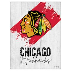 Chicago Blackhawks 15" x 20" Canvas Wall Art