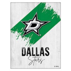 Dallas Stars 15" x 20" Canvas Wall Art