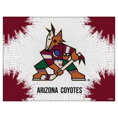 Arizona Coyotes 15" x 20" Officially Licensed Logo Canvas
