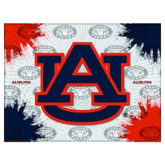 Auburn 15" x 20" Officially Licensed Logo Canvas