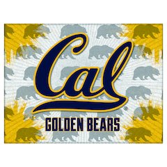 University of California 15" x 20" Officially Licensed Logo Canvas