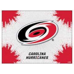 Carolina Hurricanes 15" x 20" Officially Licensed Logo Canvas