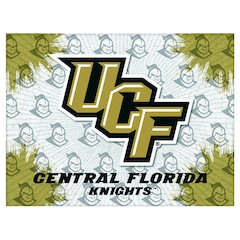 Central Florida 15" x 20" Officially Licensed Logo Canvas
