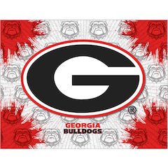 Georgia "G" 15" x 20" Officially Licensed Logo Canvas