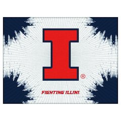 Illinois 15" x 20" Officially Licensed Logo Canvas