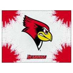 Illinois State 15" x 20" Officially Licensed Logo Canvas