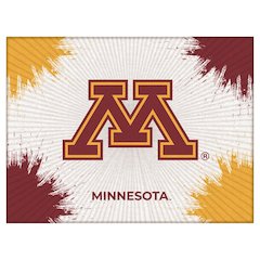 Minnesota 15" x 20" Officially Licensed Logo Canvas