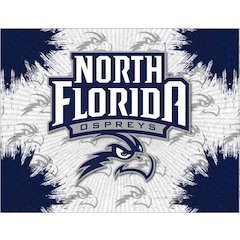 North Florida 15" x 20" Officially Licensed Logo Canvas