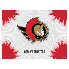 Ottawa Senators 15" x 20" Officially Licensed Logo Canvas