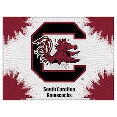 South Carolina 15" x 20" Officially Licensed Logo Canvas