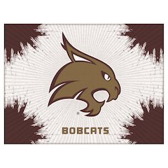 Texas State 15" x 20" Officially Licensed Logo Canvas