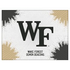Wake Forest 15" x 20" Officially Licensed Logo Canvas