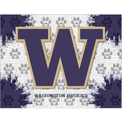 Washington 15" x 20" Officially Licensed Logo Canvas