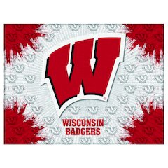 Wisconsin "W" 15" x 20" Officially Licensed Logo Canvas