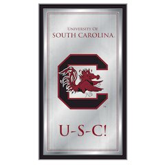 South Carolina 26" x 15" Fight Song Mirror