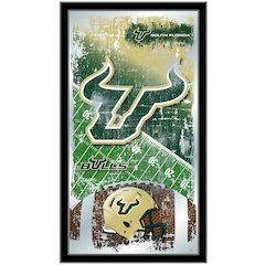 South Florida 15" x 26" Football Mirror