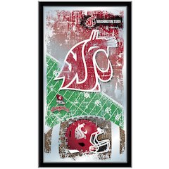Washington State 15" x 26" Football Mirror