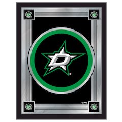 Dallas Stars 17" x 22" Logo Mirror