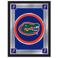 Florida 17" x 22" Logo Mirror