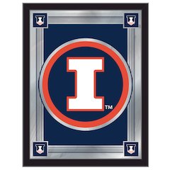 Illinois 17" x 22" Logo Mirror