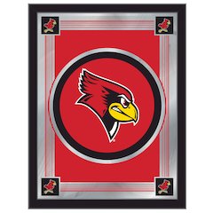 Illinois State 17" x 22" Logo Mirror