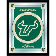 South Florida 17" x 22" Logo Mirror