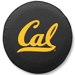 34 x 8 Cal Tire Cover