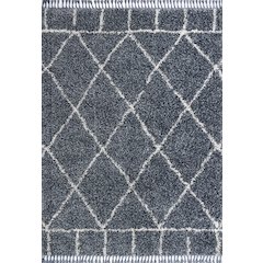 Mercer Shag Plush Tassel Moroccan Geometric Trellis Area Rug
