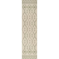 Boho Moroccan Indoor/Outdoor Area Rug