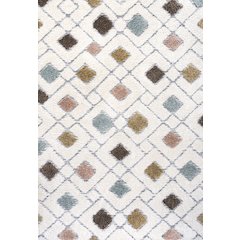 Astrid Retro Trellis High-Low Area Rug