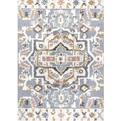 Aziza Persian Medallion High-Low Area Rug