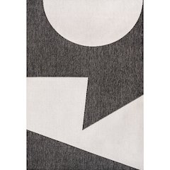 Two-Tone Black/Cream 4 ft. x 6 ft. Indoor/Outdoor Area Rug