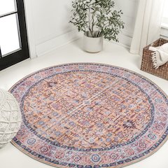 Kemer All-Over Persian Machine-Washable Area Rug