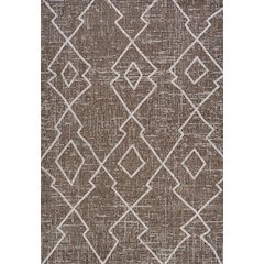 Carwa Tribal Diamond Trellis Indoor/Outdoor Area Rug