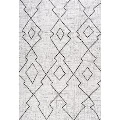 Carwa Tribal Diamond Trellis Indoor/Outdoor Area Rug