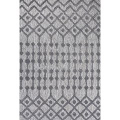 Peralta Moroccan Diamond Indoor/Outdoor Area Rug