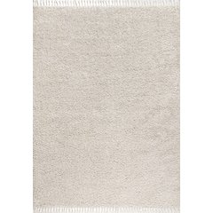 Mercer Shag Plush Tassel Area Rug
