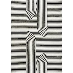 Anders MidCentury Modern Arch Stripe Two-Tone High-Low Black/White Area Rug