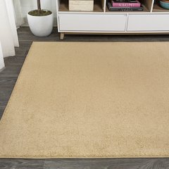 Haze Solid Low-Pile Area Rug