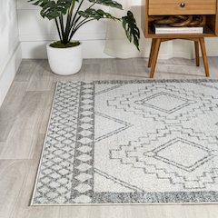 Amir Moroccan Beni Souk Area Rug