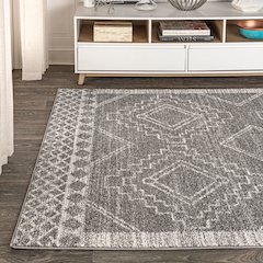 Amir Moroccan Beni Souk Area Rug