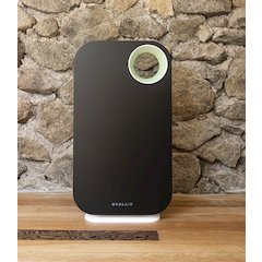 Oval Air 3-Stage H13 True Hepa 5-In-1 Air Purifier For Rooms Reduces Allergies