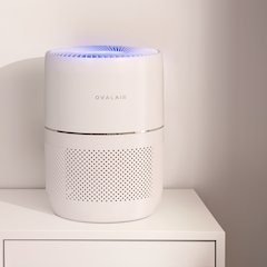 3-Stage H13 Smart True Hepa Desk Air Purifier For Rooms Reduces Allergies