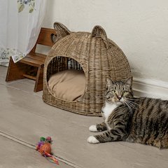 Cat Ear Coastal Handwoven Rattan Cat Bed With Machine-Washable Cushion