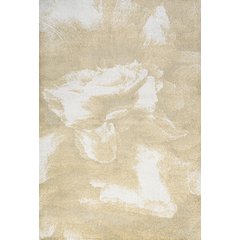 Petalo Abstract Two Tone Modern Area Rug