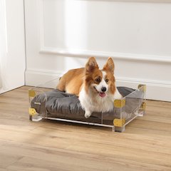 Haines Small/Medium Modern Lucite Velvet Pet Bed with Washable Cushion