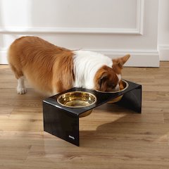 Medium/Large Modern Lucite Rectangular Elevated Pet Feeder